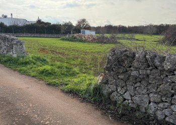 Giardino - Terreno edificabile Strada Rospano
112/A, Martina Franca - foto 6