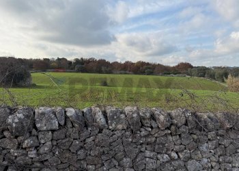 Giardino - Terreno edificabile Strada Rospano
112/A, Martina Franca - foto 7