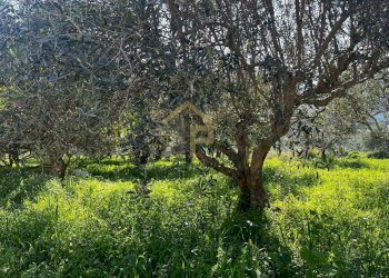 Foto 21 - Villa Castellammare del Golfo - foto 21