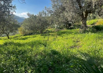 Foto 22 - Villa Castellammare del Golfo - foto 22