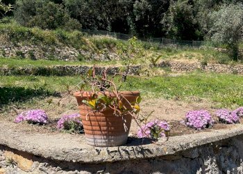 Foto 30 - Villa Via dei Molini
 
snc, Monte Argentario - foto 30