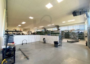 Altro - Capannone via Ausa, 78, Coriano - foto 7