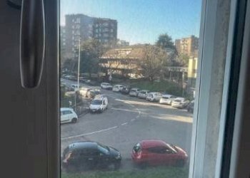 Vista - Monolocale via delle Betulle, Cesano Boscone - foto 27