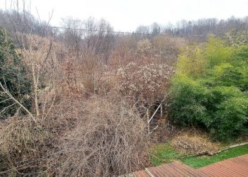 Vista - Rustico SP27, Cortiglione - foto 12