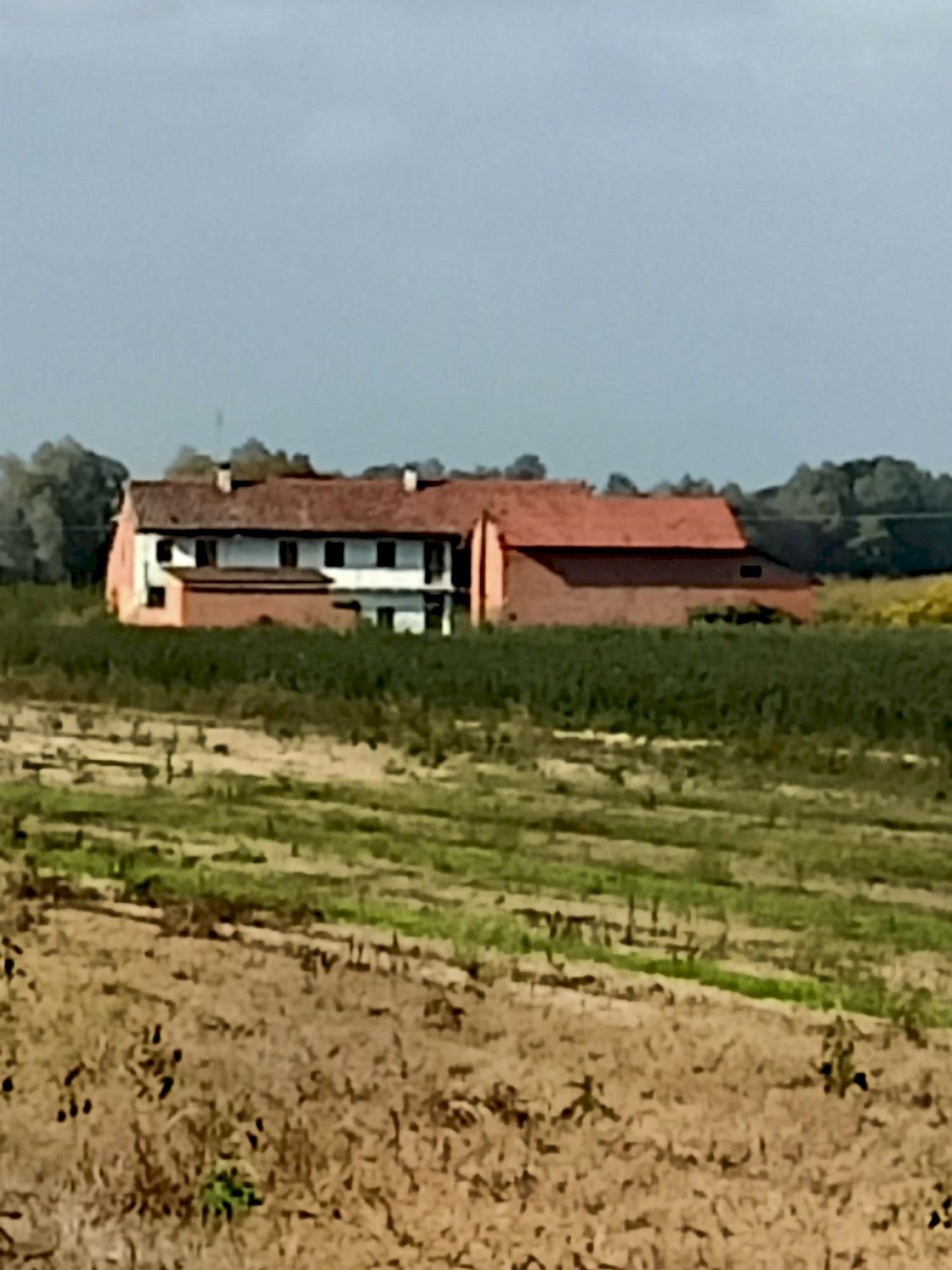 Casa indipendente Villanova Solaro - foto 1