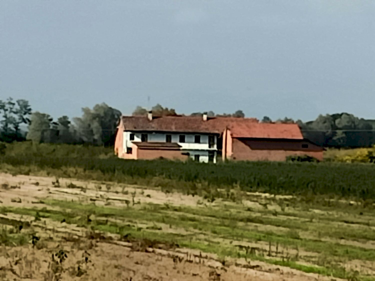 Casa indipendente Villanova Solaro - foto 2