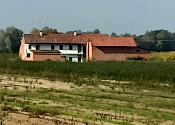 Casa indipendente Villanova Solaro - foto 1