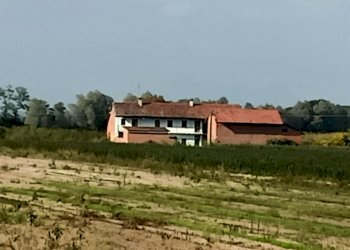 Casa indipendente Villanova Solaro - foto 2