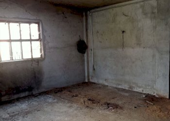 Casa indipendente Villanova Solaro - foto 14