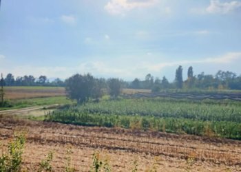 Casa indipendente Villanova Solaro - foto 25