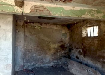 Casa indipendente Villanova Solaro - foto 39