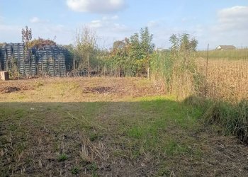 Casa indipendente Villanova Solaro - foto 40