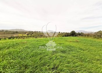 Terreno edificabile B&B falconeria, Partinico - foto 1