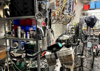 Negozio Via Malvolta, Bologna (zona Murri) - foto 11