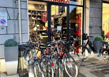 Negozio Via Malvolta, Bologna (zona Murri) - foto 1