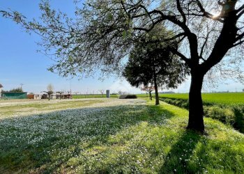 Casa indipendente Via Reale, Ravenna (zona Camerlona) - foto 37