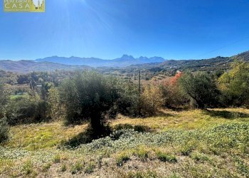 Foto 4 - Terreno edificabile Via Aldo Moro, Torricella Sicura - foto 4