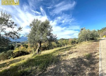 Foto 9 - Terreno edificabile Via Aldo Moro, Torricella Sicura - foto 9