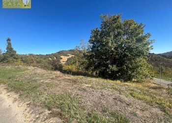 Foto 10 - Terreno edificabile Via Aldo Moro, Torricella Sicura - foto 10