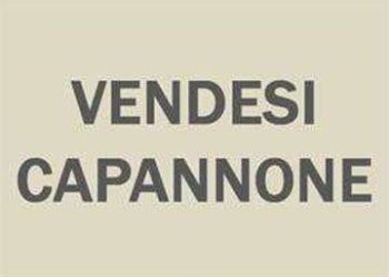 Altro - Capannone via Lago Scaffaiolo, Carpi - foto 1