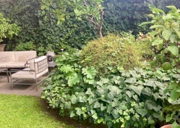 Giardino - Appartamento via Saverio Mercadante, 34, Roma - foto 8