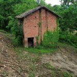 Agricultural land Canelli - photo 3