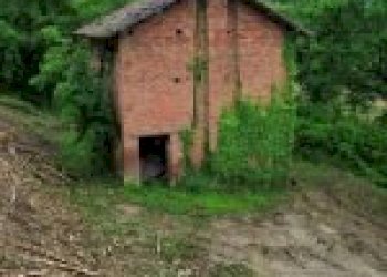 Agricultural land Canelli - photo 3