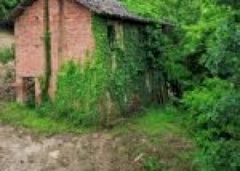 Agricultural land Canelli - photo 4