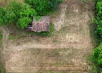 Agricultural land Canelli - photo 5