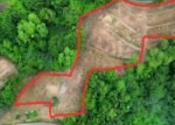 Agricultural land Canelli - photo 7