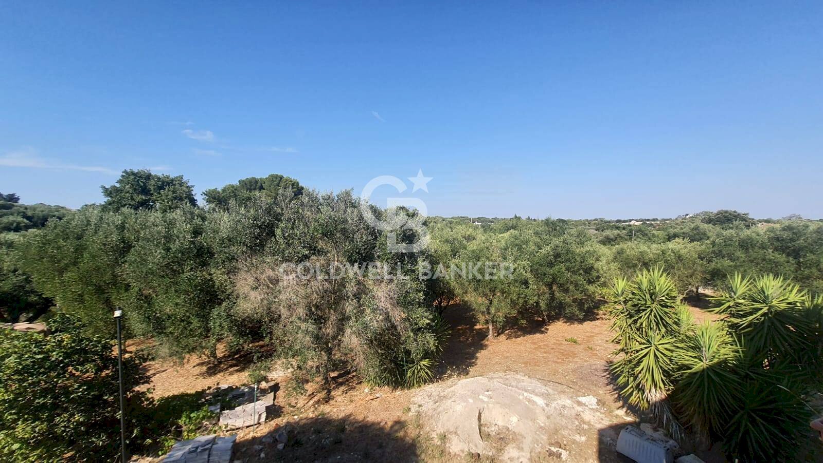 Foto 3 - Villa Contrada Padolecchia
snc, Ostuni - foto 3