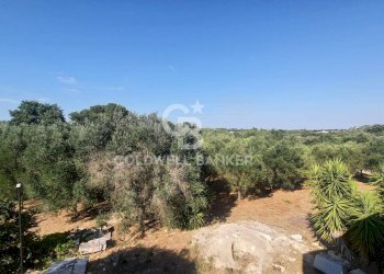 Foto 3 - Villa Contrada Padolecchia
 
snc, Ostuni - foto 3