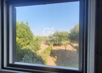 Foto 12 - Villa Contrada Padolecchia
 
snc, Ostuni - foto 12