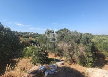 Foto 25 - Villa Contrada Padolecchia
 
snc, Ostuni - foto 25