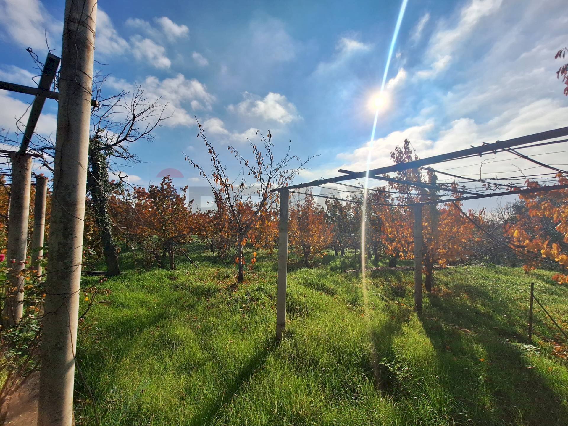 Giardino - Casa semi indipendente Via Castagne
 
snc, Piedimonte Etneo - foto 3