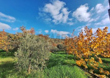 Vista delle montagne - Casa semi indipendente Via Castagne
 
snc, Piedimonte Etneo - foto 4