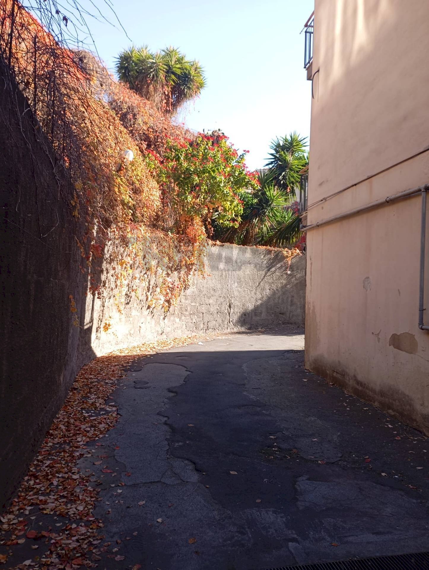 Non correlato - Box Via Masaniello
 
28, Catania - foto 2