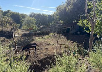 Giardino - Villa Via Fonderia
 
23, Belpasso - foto 23