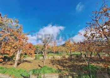 Giardino - Casa semi indipendente Via Castagne
 
snc, Piedimonte Etneo - foto 3