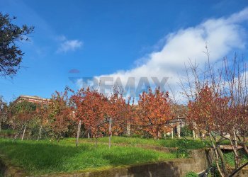 Giardino - Casa semi indipendente Via Castagne
 
snc, Piedimonte Etneo - foto 4