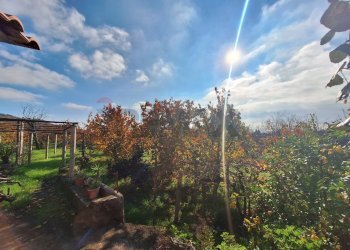 Giardino - Casa semi indipendente Via Castagne
 
snc, Piedimonte Etneo - foto 12