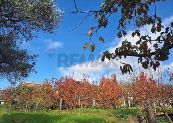 Vista delle montagne - Casa semi indipendente Via Castagne
 
snc, Piedimonte Etneo - foto 14