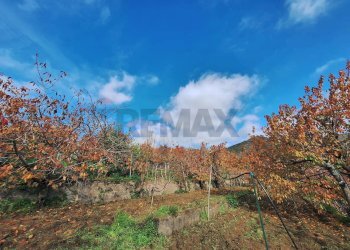 Vista delle montagne - Casa semi indipendente Via Castagne
 
snc, Piedimonte Etneo - foto 17