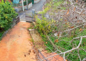 Giardino - Villa Via Gian Lorenzo Bernini
 
12, Trecastagni - foto 26