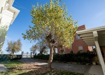 Edificio all\'aperto - Casa semi indipendente Lungomare Dante Alighieri
 
40, Senigallia - foto 67