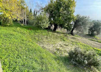 Giardino - Casa semi indipendente Belvedere Ostrense - foto 20