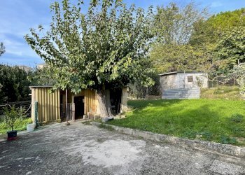 Giardino - Casa semi indipendente Belvedere Ostrense - foto 29