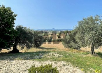 Giardino - Rustic Via San Giovanni
 
2, Belvedere Ostrense - photo 60