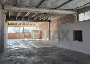 Parcheggio - Capannone Strada Statale 16
 
2098, Polesella - foto 3