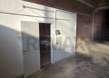 Parcheggio - Capannone Strada Statale 16
 
2098, Polesella - foto 7